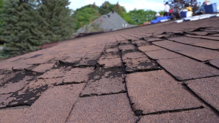 Best Green or Eco-Friendly Roofing Solutions  in Whitefish, MT